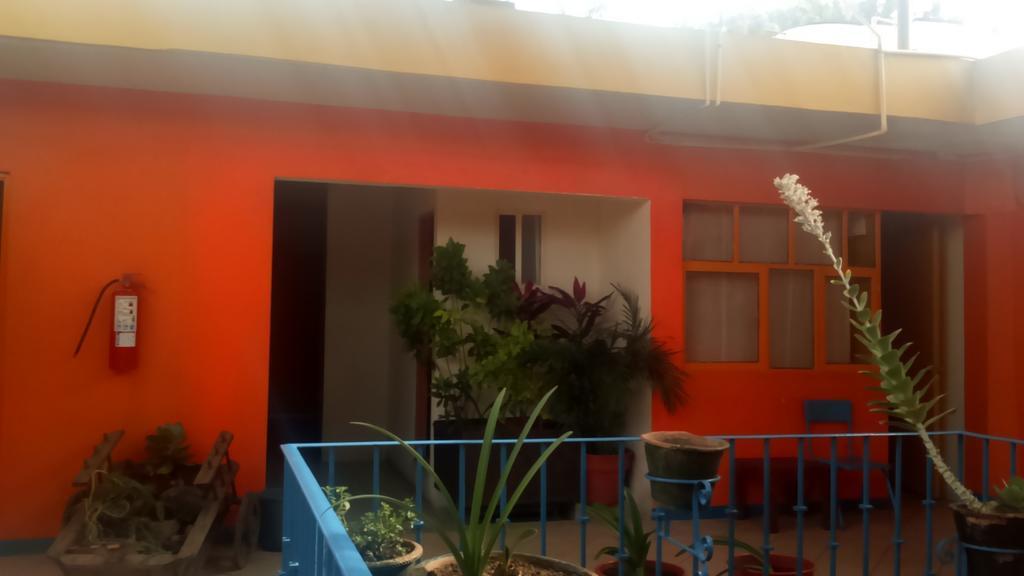 Hostal Zipolite Arteaga Oaxaca المظهر الخارجي الصورة